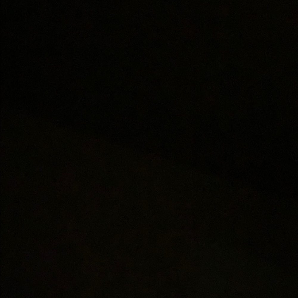 Meet your Posher, Joey